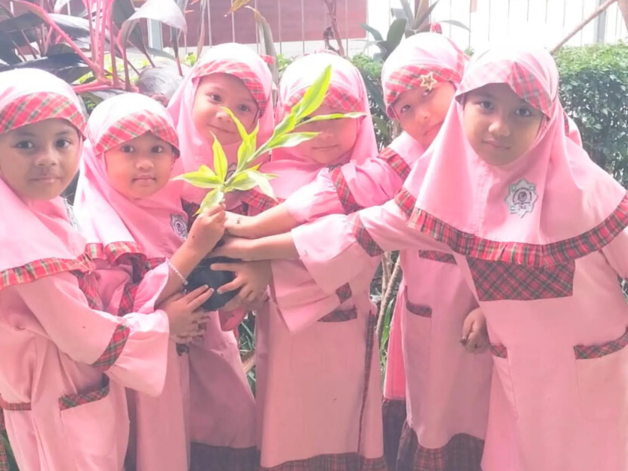 Menanam Bawang